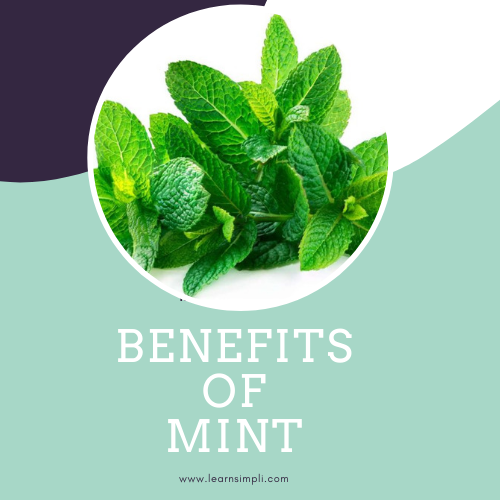 Benefits of mint leaves