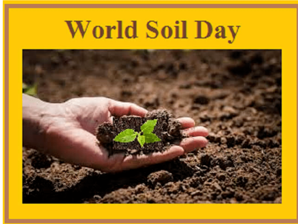 World soil day Learn Simpli