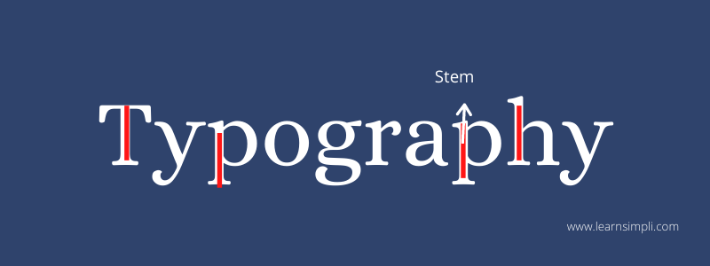 stem in the typography